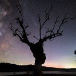 Night Sky Olbers – Explore the Night Sky Puzzle at The Universe Episodes