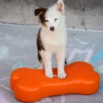 Flirt Poles Chase Pro – Affordable Options for Interactive Dog Training